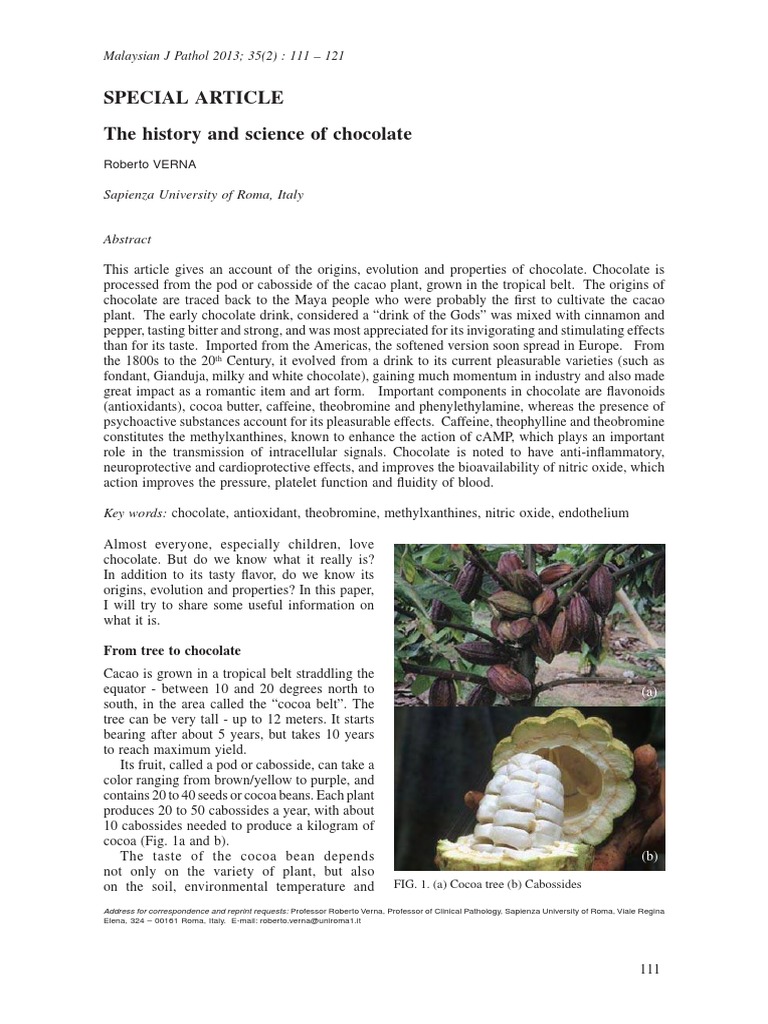 History and Science of Chocolate | PDF | Chocolate | Beverages