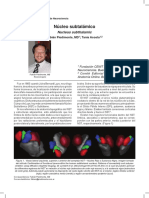 Nucleo Subtalamico Visto