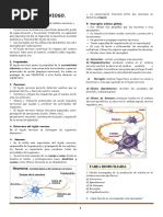 Tejido Nervioso