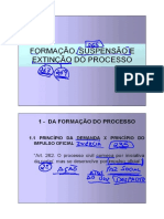 Aula 34 - Suspensão e Extinção Do Processo