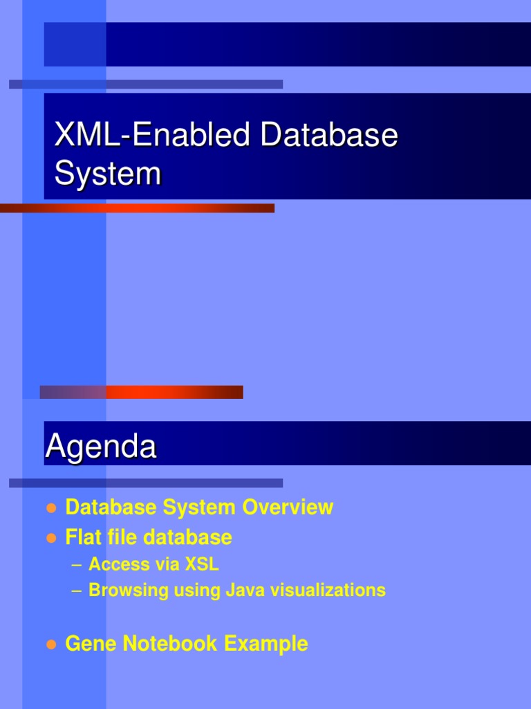 XML-Enabled Database System | PDF | Xml | World Wide Web