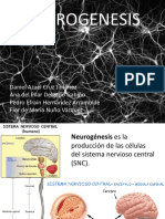 neurogenesis-131106075711-phpapp01