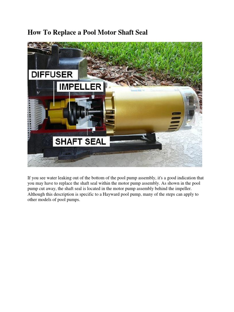 Replace A Pool Motor Shaft Seal Download Free PDF Screw Pump