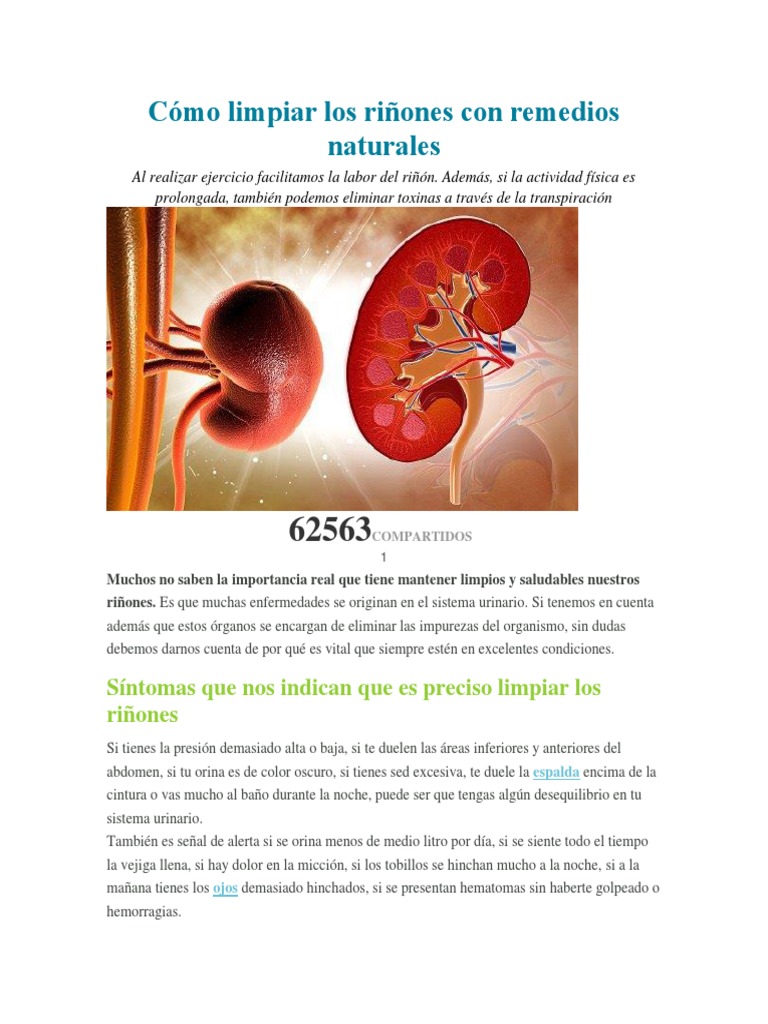 Limpieza Natural de Riñones | PDF | Sistema urinario | Riñón