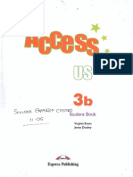 Access 3B