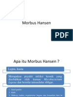 Morbus Hansen Lapsus