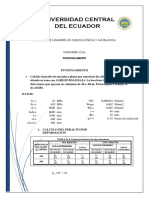 PUNZONAMIENTO accesss.docx