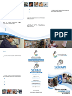 SENAPIQue - Es - El SENAPI PDF