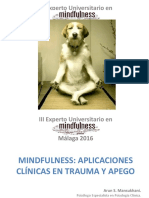 Mindfulness y Psicoterapia Malaga 2016