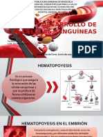 Origen y Desarrollo de Las Células Sanguíneas