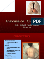 ANATOMIA DE TORAX