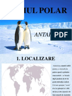 Mediul Polar