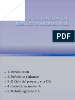 Evaluación de Impacto Ambiental EIA