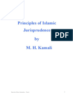 IJUR1 Principles.pdf