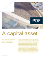A Capital Asset