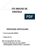 12.curs Artrite Cristale 2017