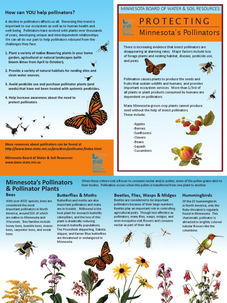 Minnesota Board of Water & Soil Resources Pollinator Protection ...
