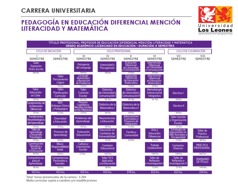 Licenciatura en Educación Diferencial | PDF | Plan de estudios | Pedagogía