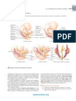 Principios de Anatomia y Fisiologia Tortora Derrickson 13a Ed