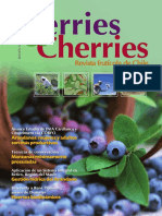 Berries and Cherries Nro 18