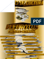 Cultura Intensiva Pleurotus