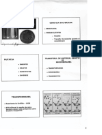 curs microbiologie 2.3.pdf