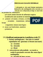 7 Artrozele Periferice Si Ale Coloanei Vertebrale