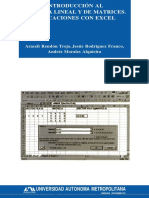 INTRODUCCION AL ALGEBRA LINEAL Y DE MATRICES. APLICACIONES CON EXCEL.pdf