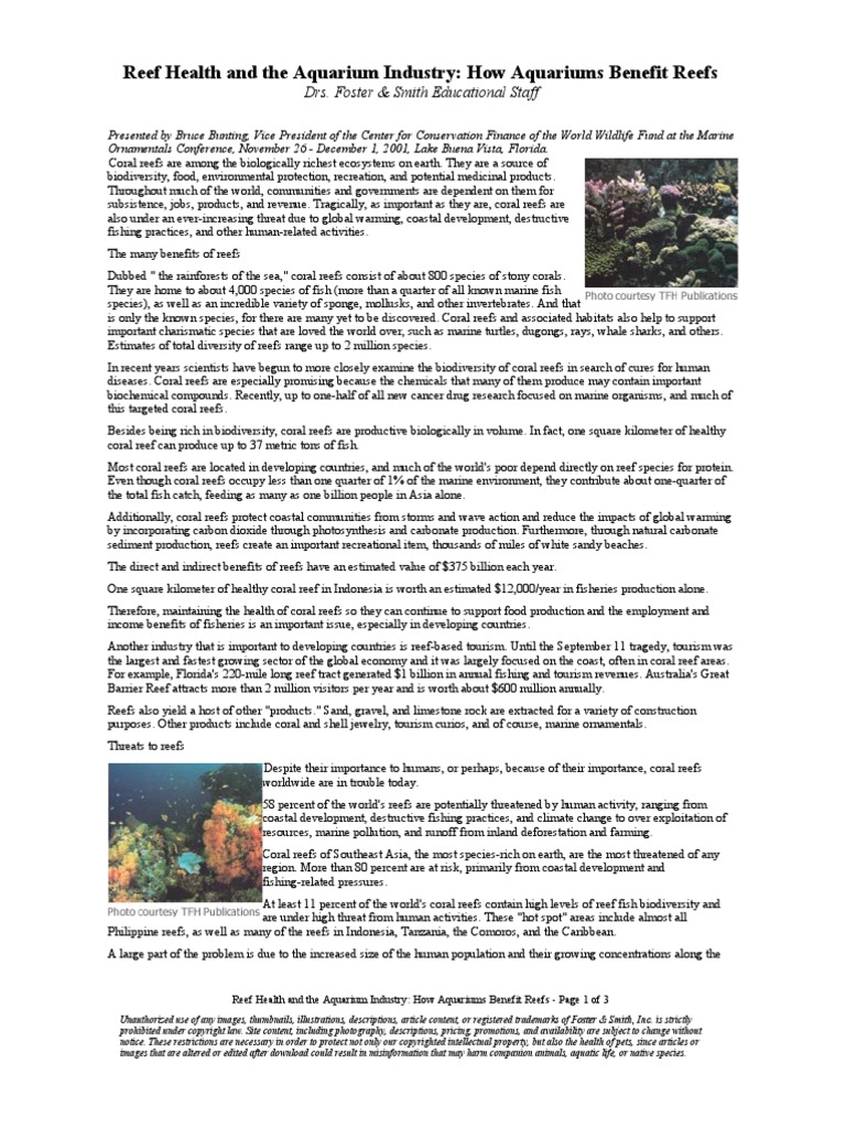 Reef Health and The Aquarium Industry How Aquariums Benefit Reefs PDF Coral Reef Coral