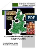 cultivos poblanos y sus opciones de industrializacion.pdf