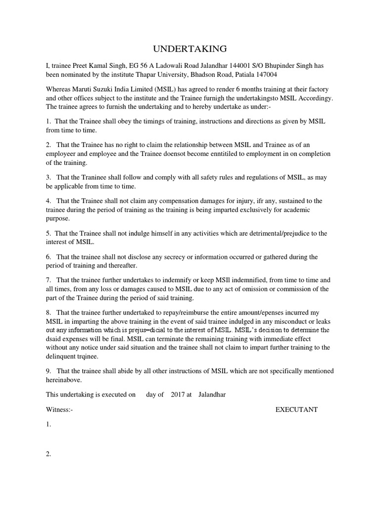 UNDERTAKING | PDF