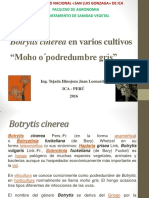 1 Botrytis Cinerea 2016 PDF