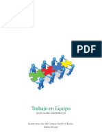 Manual Trabajo en Equipo