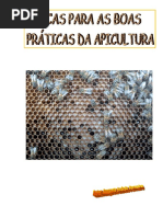 DICAS PARA AS BOAS PRÁTICAS DA APICULTURA