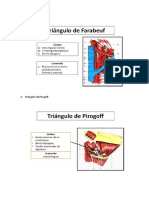 Triángulos Del Cuello - ANATOMIA