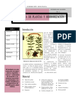 9 Herborizacion.pdf
