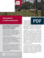 Políticas pecuarias y deforestación en América Latina