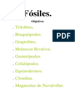Fósiles PDF