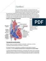 El Músculo Cardiáco