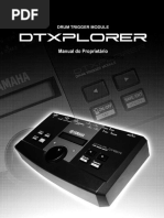 dtxplorer_portugues.pdf