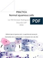 Normal Squamous Cervical Cells