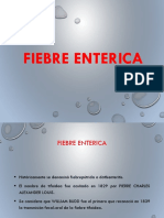 Fiebre Enterica