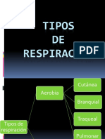 Tiposderespiracin 100301203216 Phpapp01