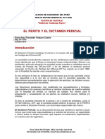 s3 perito_dictamen_pericial_ 13.pdf