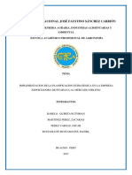 Implementacion de La Planificacion Estrategica en La Empresa Exportadora de Pitahaya Al Mercado Chileno