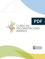 Programa Curso Psicimotricidad270117