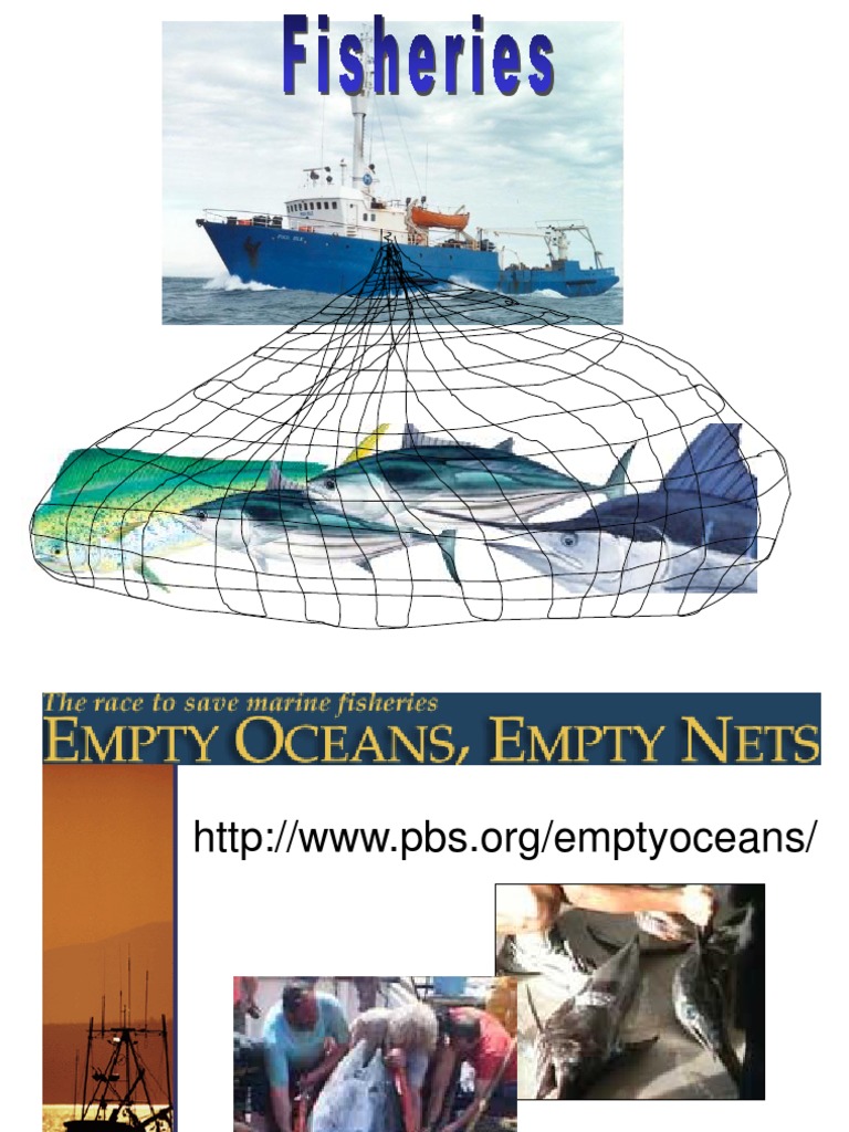 022 Fisheries ppt Trawling Aquaculture Free 30 day Trial Scribd
