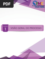 Modulo1_VisaoGeraldoProcesso