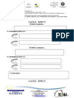 05 Povesti Organizator Cauza Efect