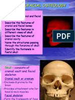 Craniofacial Osteology 1